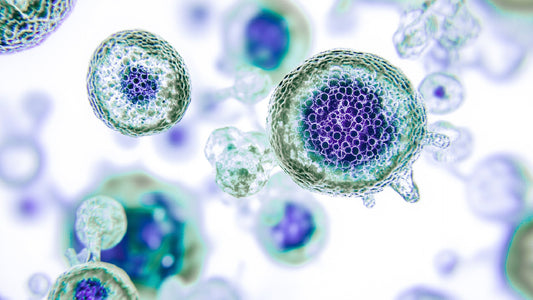 Do you want to delay the signs of aging?  It's time to talk about NUTRICOSMETICS