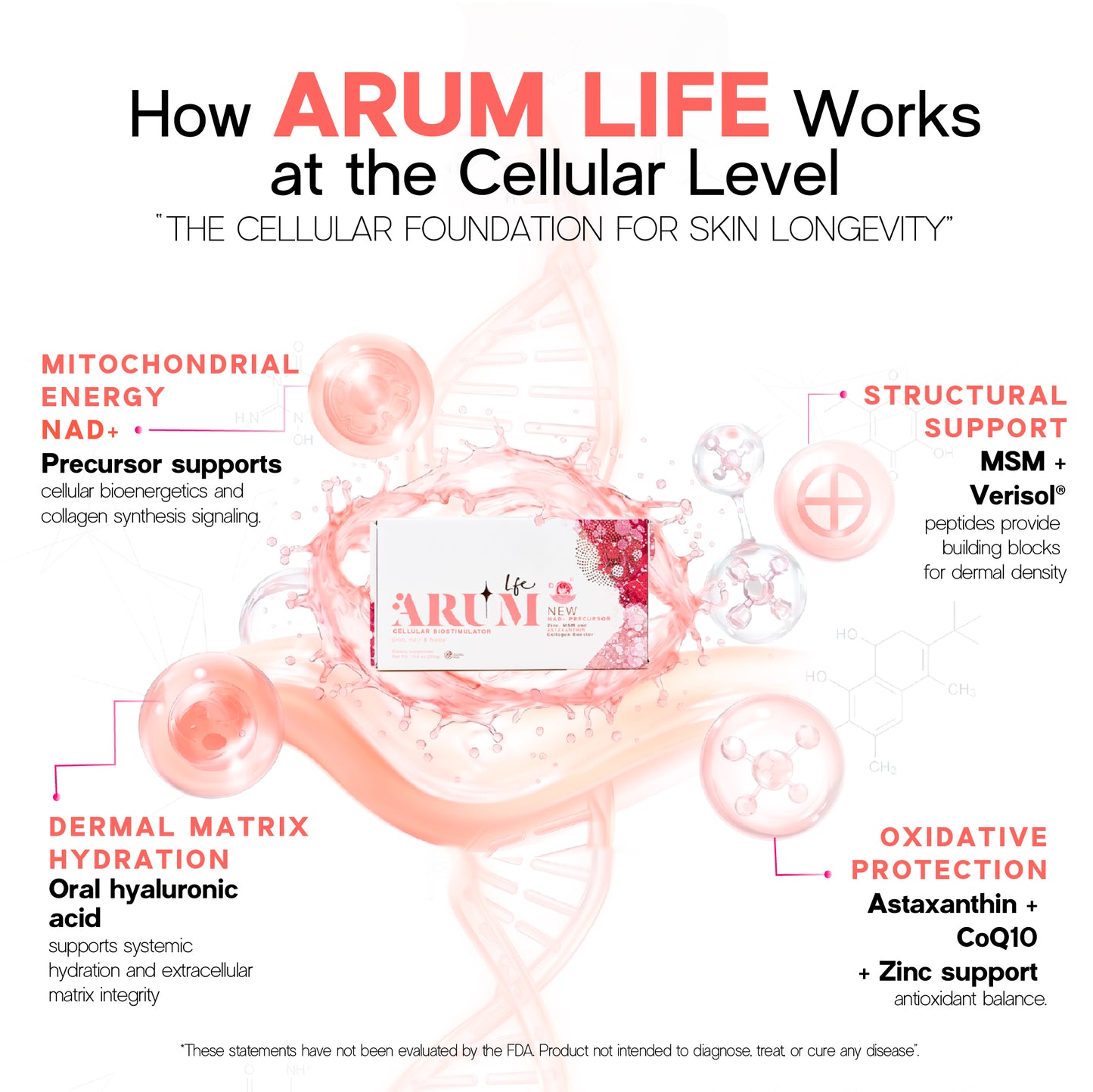 ARUM LIFE | Clinical Oral Biostimulator 🧬 | NAD⁺ Precursor + Verisol® Collagen + Oral Hyaluronic Acid | 30 Sachets — Professional Grade