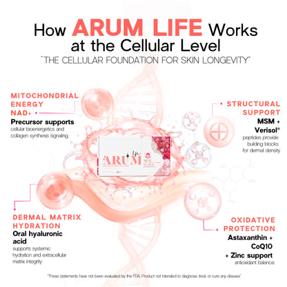 ARUM LIFE | Clinical Oral Biostimulator 🧬 | NAD⁺ Precursor + Verisol® Collagen + Oral Hyaluronic Acid | 30 Sachets — Professional Grade