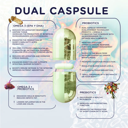 ARUM MIICRO Dual Capsule Synbiotic | 13 Probiotic Strains + Omega 3 + Prebiotic | Gut-Brain Axis