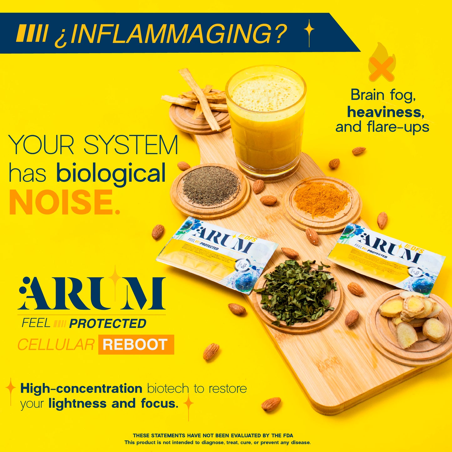 ARUM DFS  Advanced Immune & Anti-Inflammatory Support | Turmeric, Ganoderma, NAC