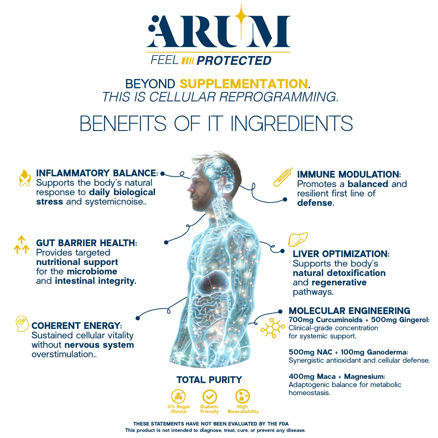 ARUM DFS  Advanced Immune & Anti-Inflammatory Support | Turmeric, Ganoderma, NAC