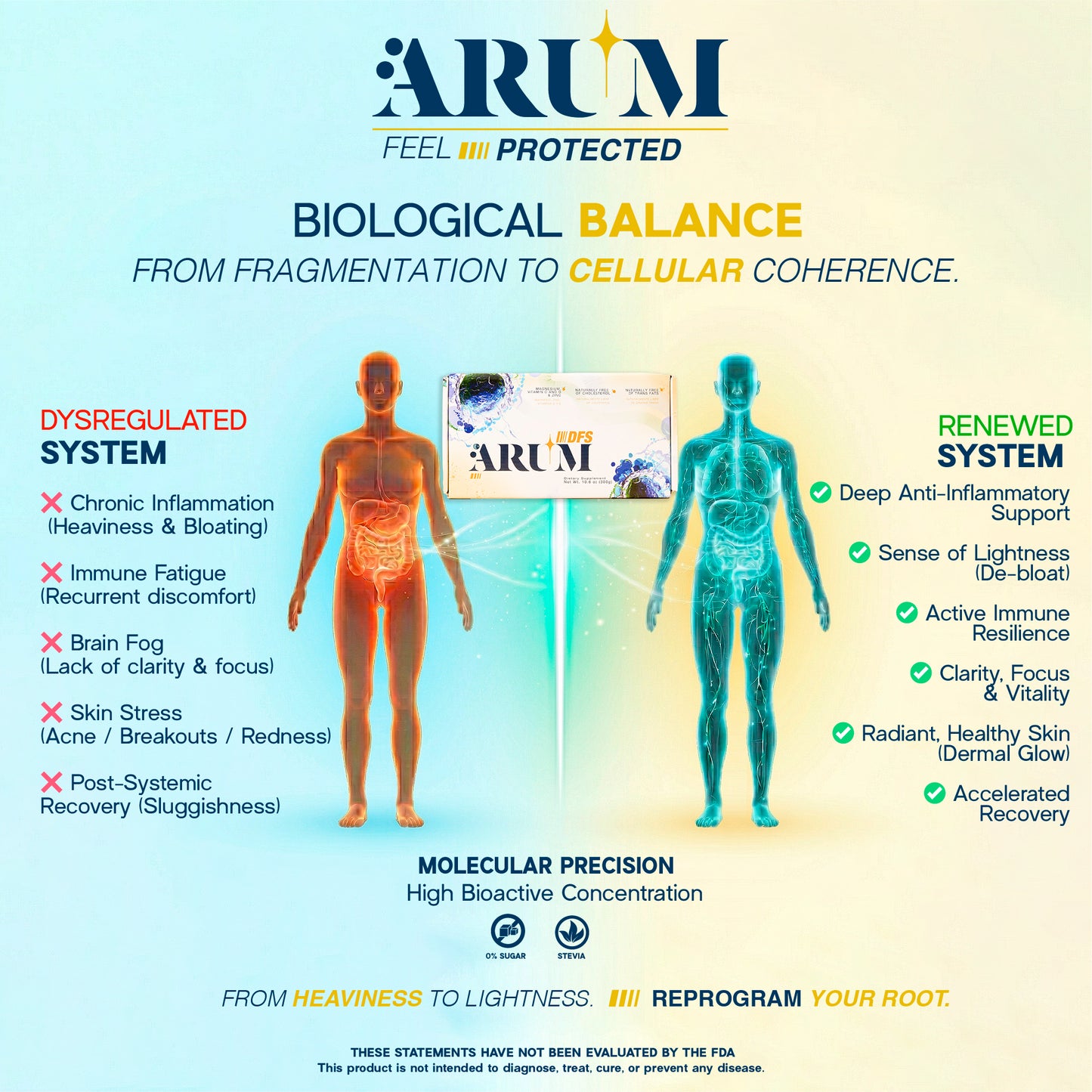 ARUM DFS  Advanced Immune & Anti-Inflammatory Support | Turmeric, Ganoderma, NAC