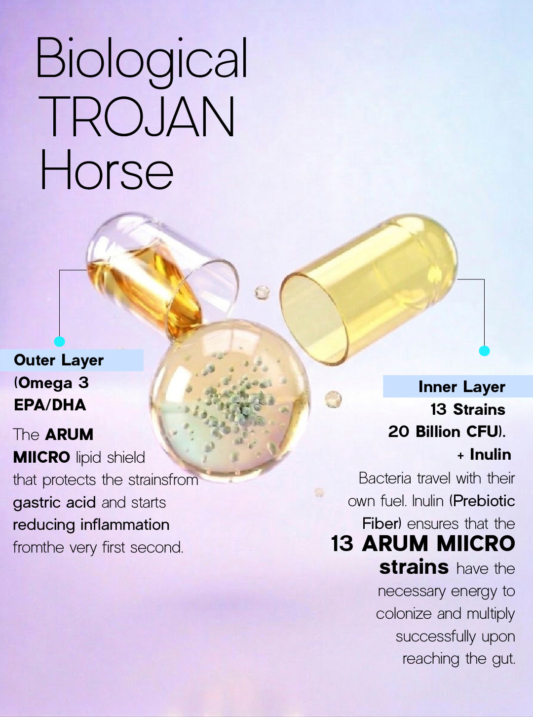 ARUM MIICRO Dual Capsule Synbiotic | 13 Probiotic Strains + Omega 3 + Prebiotic | Gut-Brain Axis