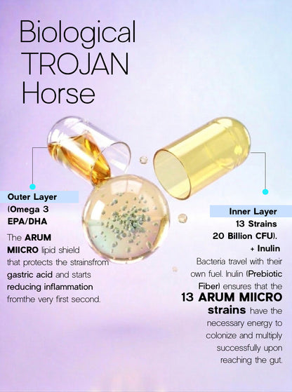 ARUM MIICRO Dual Capsule Synbiotic | 13 Probiotic Strains + Omega 3 + Prebiotic | Gut-Brain Axis